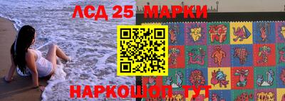 шишки Новодвинск