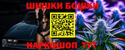 индика Нальчик