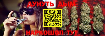 эйфоретик Нарткала