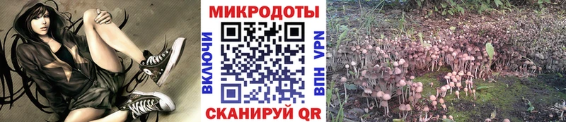 mega как войти  где найти   Ржев  Галлюциногенные грибы Cubensis 